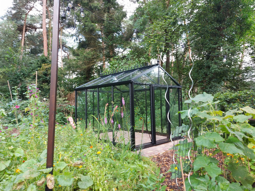 Janssens Helios Master Victorian MV23