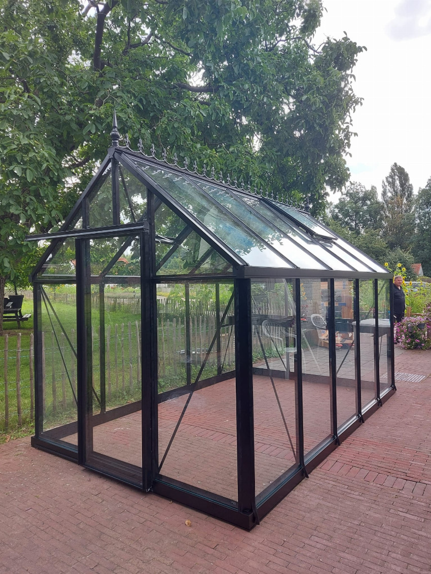 Janssens Junior Victorian JV24